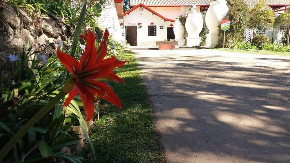 Pousada El Brujo Monte Verde  Kültér fotó